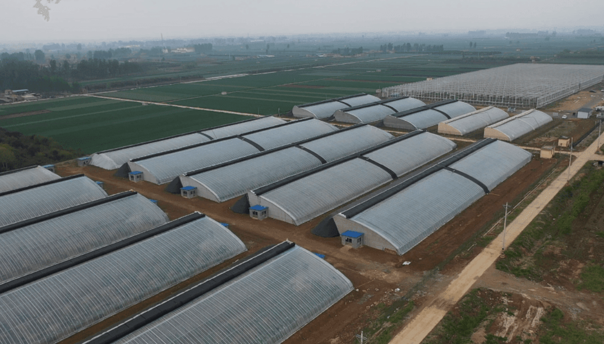 Wireless Smart Agriculture Kit – Greenhouses – EU868 connected hardware additional product view