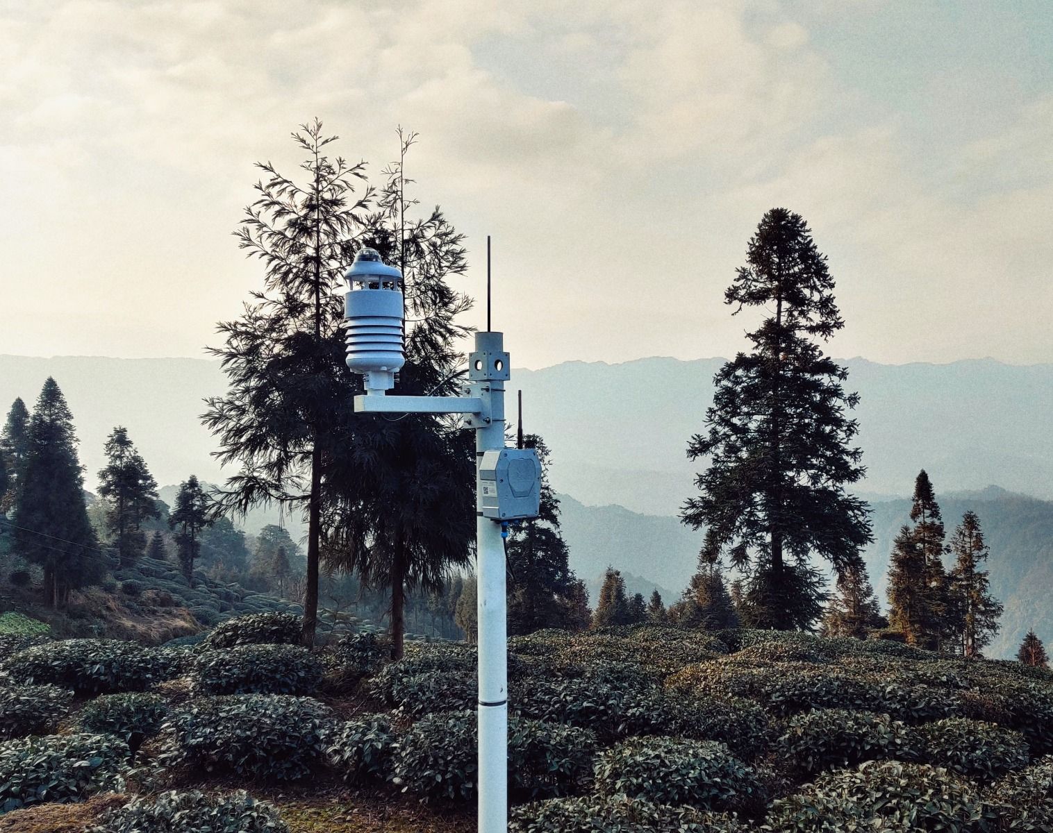 SenseCAP ONE S700 7-in-1 Compact Weather Sensor connected hardware additional product view